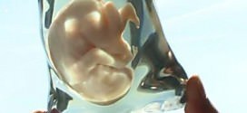 bebeluş nenăscut imprimat 3D